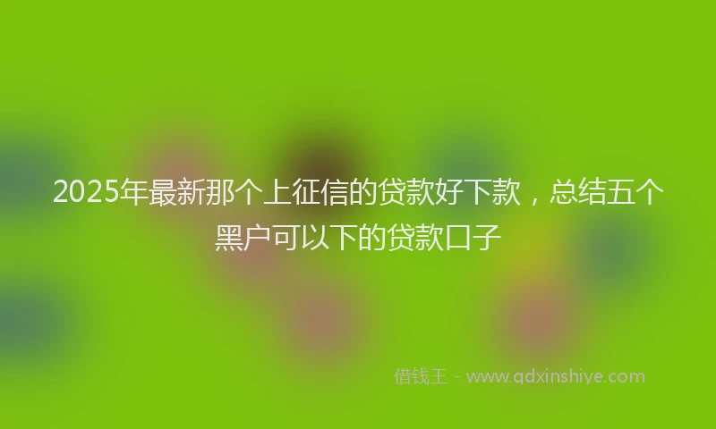 2025年最新那个上征信的贷款好下款，总结五个黑户可以下的贷款口子