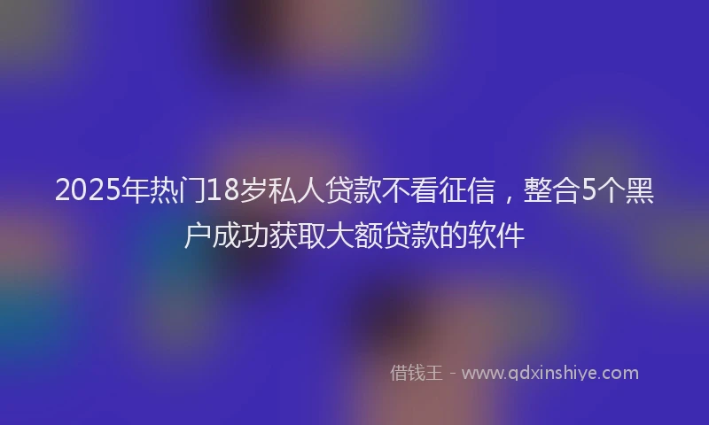 2025年热门18岁私人贷款不看征信，整合5个黑户成功获取大额贷款的软件