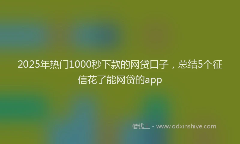 2025年热门1000秒下款的网贷口子，总结5个征信花了能网贷的app