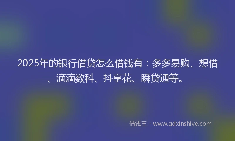 2025年的银行借贷怎么借钱有：多多易购、想借、滴滴数科、抖享花、瞬贷通等。