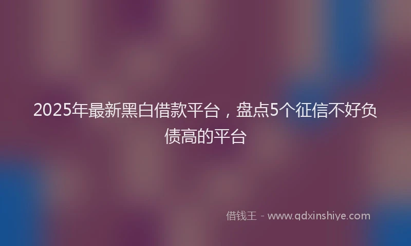 2025年最新黑白借款平台，盘点5个征信不好负债高的平台