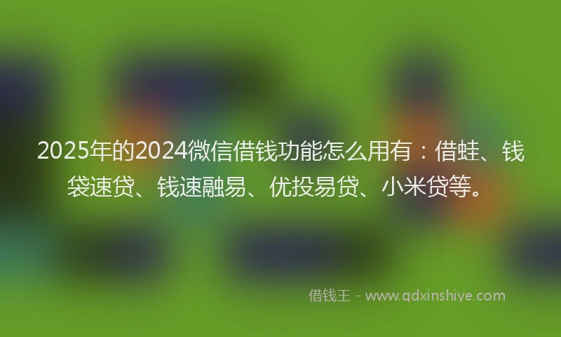 2025年的2024微信借钱功能怎么用有：借蛙、钱袋速贷、钱速融易、优投易贷、小米贷等。