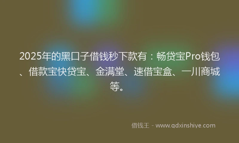 2025年的黑口子借钱秒下款有：畅贷宝Pro钱包、借款宝快贷宝、金满堂、速借宝盒、一川商城等。