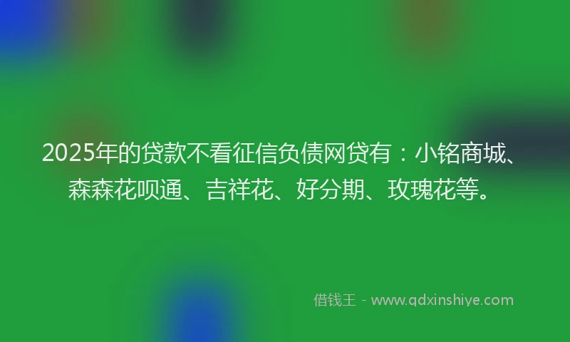 2025年的贷款不看征信负债网贷有：小铭商城、森森花呗通、吉祥花、好分期、玫瑰花等。