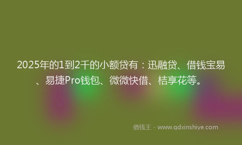 2025年的1到2千的小额贷有：迅融贷、借钱宝易、易捷Pro钱包、微微快借、桔享花等。