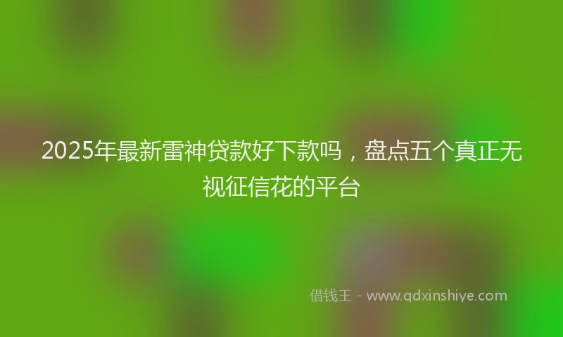 2025年最新雷神贷款好下款吗，盘点五个真正无视征信花的平台