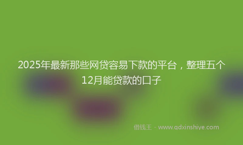 2025年最新那些网贷容易下款的平台，整理五个12月能贷款的口子