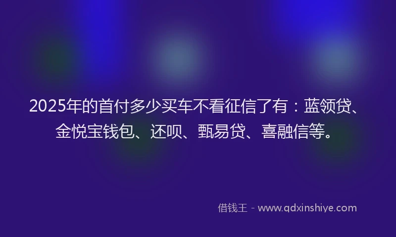 2025年的首付多少买车不看征信了有：蓝领贷、金悦宝钱包、还呗、甄易贷、喜融信等。