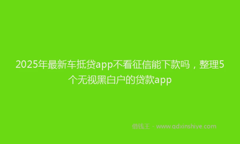 2025年最新车抵贷app不看征信能下款吗，整理5个无视黑白户的贷款app