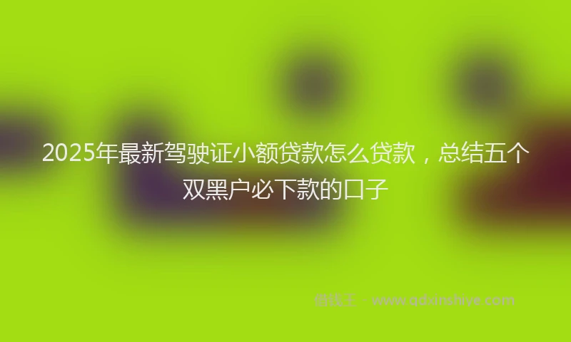 2025年最新驾驶证小额贷款怎么贷款，总结五个双黑户必下款的口子