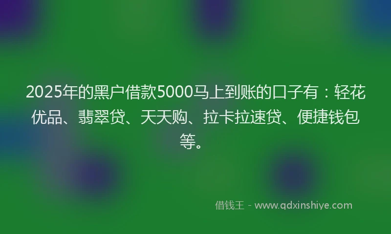 2025年的黑户借款5000马上到账的口子有：轻花优品、翡翠贷、天天购、拉卡拉速贷、便捷钱包等。