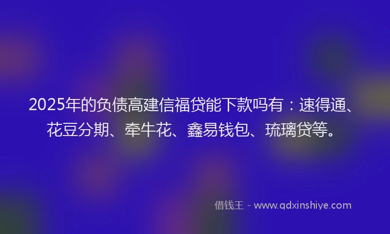 2025年的负债高建信福贷能下款吗有：速得通、花豆分期、牵牛花、鑫易钱包、琉璃贷等。