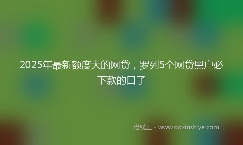 2025年最新额度大的网贷，罗列5个网贷黑户必下款的口子