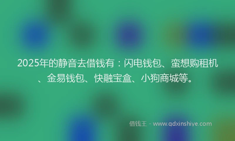 2025年的静音去借钱有：闪电钱包、蛮想购租机、金易钱包、快融宝盒、小狗商城等。