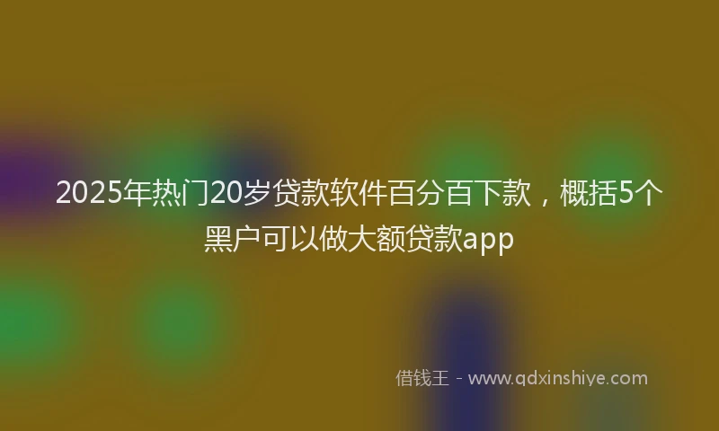 2025年热门20岁贷款软件百分百下款，概括5个黑户可以做大额贷款app