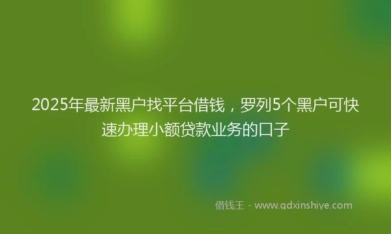 2025年最新黑户找平台借钱，罗列5个黑户可快速办理小额贷款业务的口子