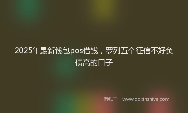 2025年最新钱包pos借钱，罗列五个征信不好负债高的口子