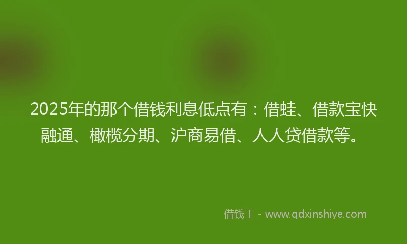2025年的那个借钱利息低点有：借蛙、借款宝快融通、橄榄分期、沪商易借、人人贷借款等。