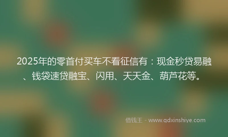 2025年的零首付买车不看征信有：现金秒贷易融、钱袋速贷融宝、闪用、天天金、葫芦花等。