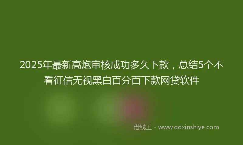 2025年最新高炮审核成功多久下款，总结5个不看征信无视黑白百分百下款网贷软件