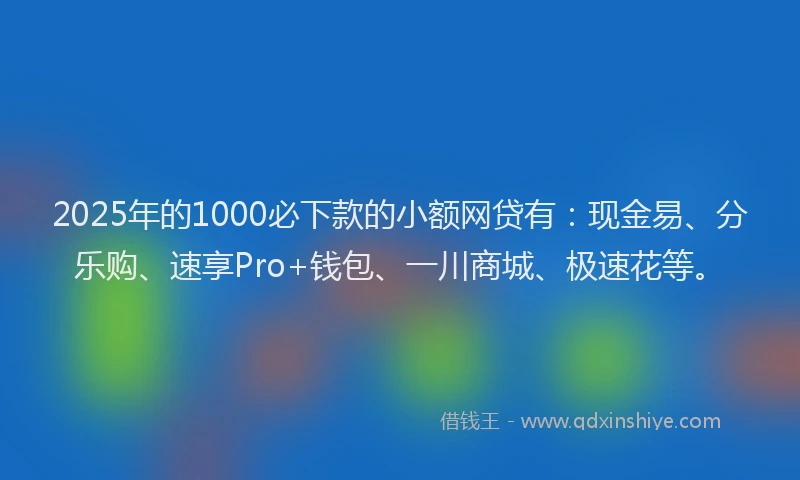 2025年的1000必下款的小额网贷有：现金易、分乐购、速享Pro+钱包、一川商城、极速花等。