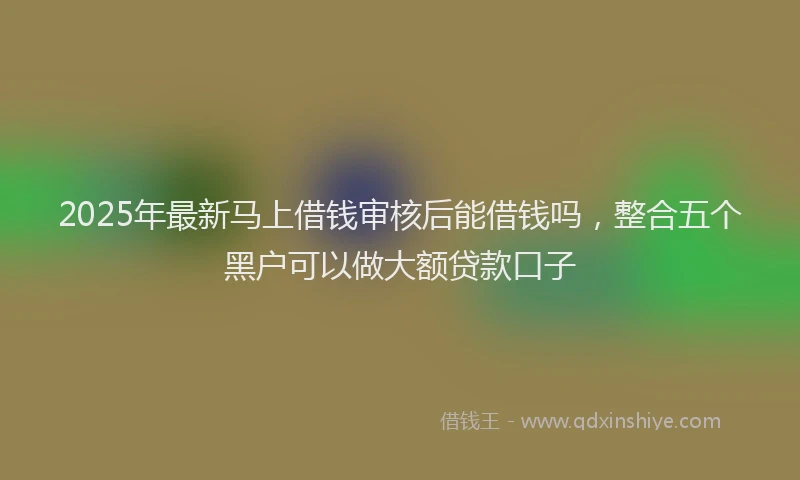 2025年最新马上借钱审核后能借钱吗，整合五个黑户可以做大额贷款口子
