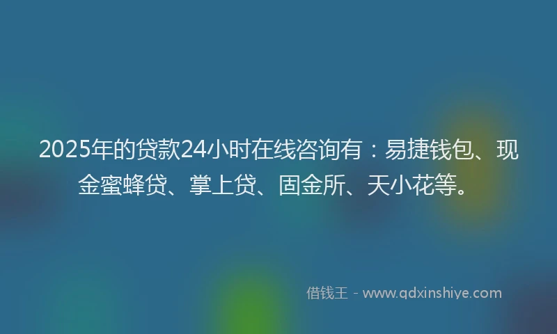 2025年的贷款24小时在线咨询有：易捷钱包、现金蜜蜂贷、掌上贷、固金所、天小花等。