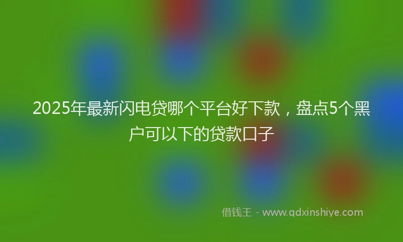 2025年最新闪电贷哪个平台好下款，盘点5个黑户可以下的贷款口子