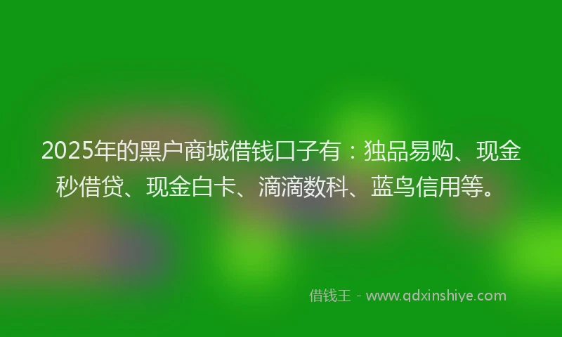 2025年的黑户商城借钱口子有：独品易购、现金秒借贷、现金白卡、滴滴数科、蓝鸟信用等。