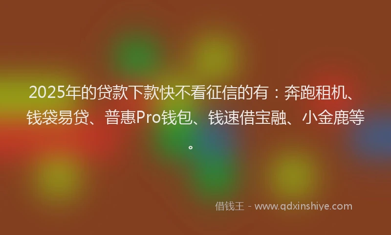 2025年的贷款下款快不看征信的有：奔跑租机、钱袋易贷、普惠Pro钱包、钱速借宝融、小金鹿等。