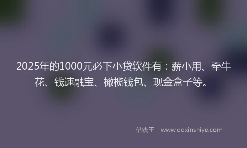2025年的1000元必下小贷软件有：薪小用、牵牛花、钱速融宝、橄榄钱包、现金盒子等。