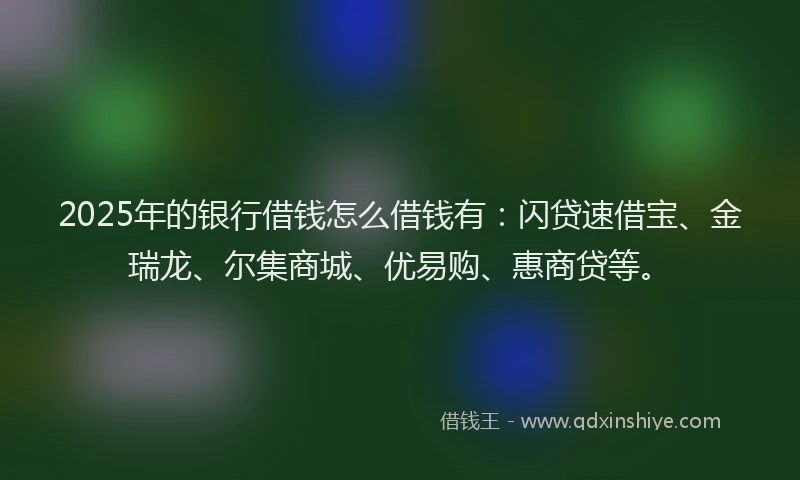 2025年的银行借钱怎么借钱有：闪贷速借宝、金瑞龙、尔集商城、优易购、惠商贷等。