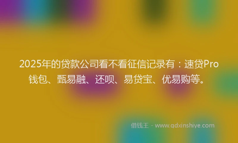 2025年的贷款公司看不看征信记录有：速贷Pro钱包、甄易融、还呗、易贷宝、优易购等。