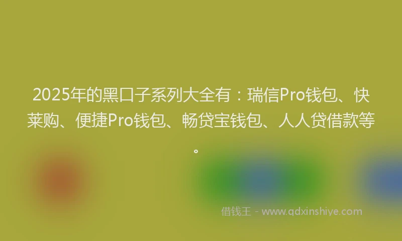 2025年的黑口子系列大全有：瑞信Pro钱包、快莱购、便捷Pro钱包、畅贷宝钱包、人人贷借款等。