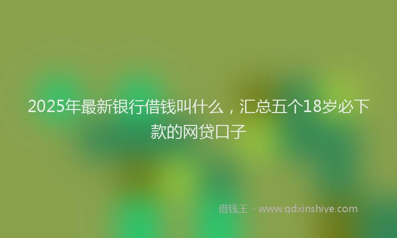 2025年最新银行借钱叫什么，汇总五个18岁必下款的网贷口子
