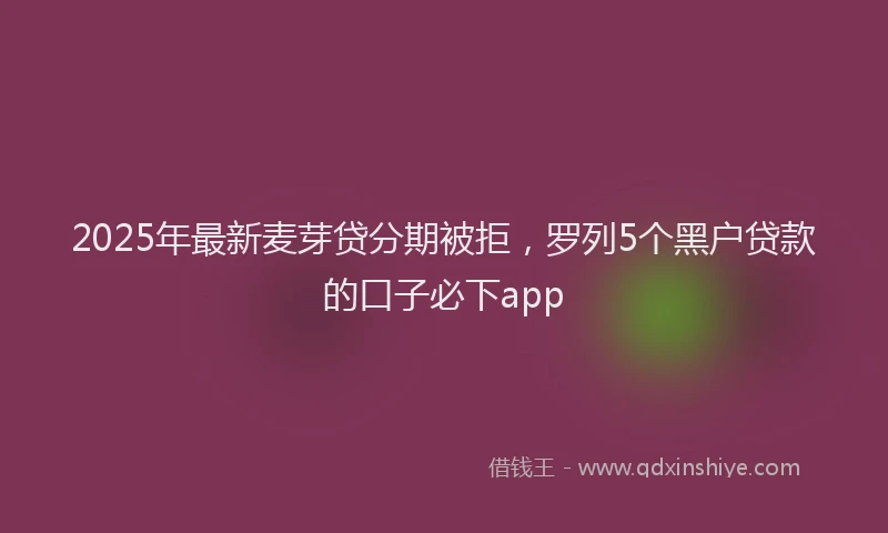 2025年最新麦芽贷分期被拒，罗列5个黑户贷款的口子必下app