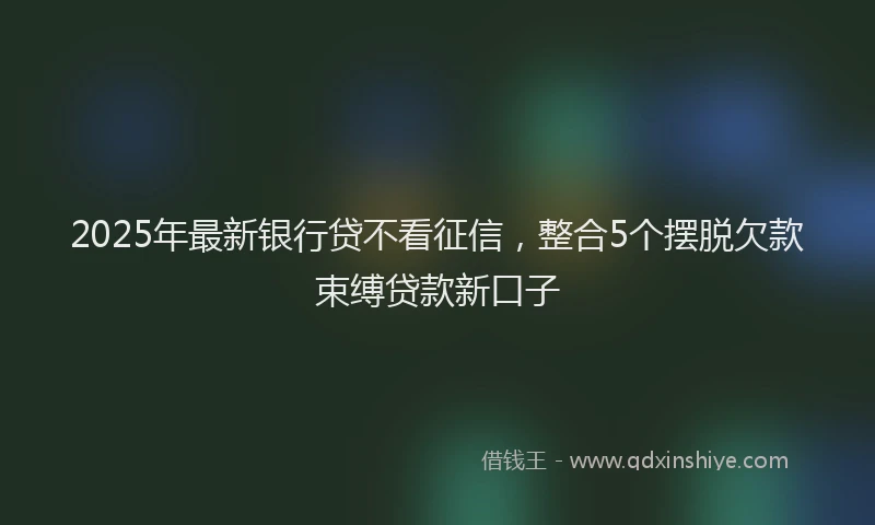 2025年最新银行贷不看征信，整合5个摆脱欠款束缚贷款新口子