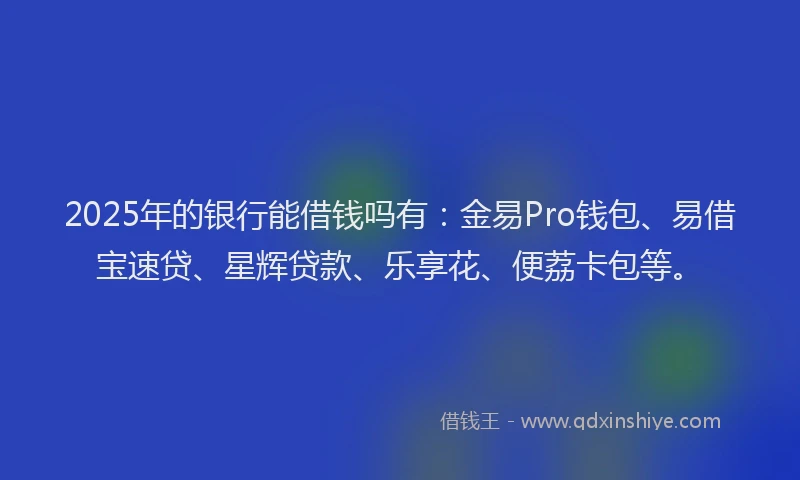 2025年的银行能借钱吗有：金易Pro钱包、易借宝速贷、星辉贷款、乐享花、便荔卡包等。