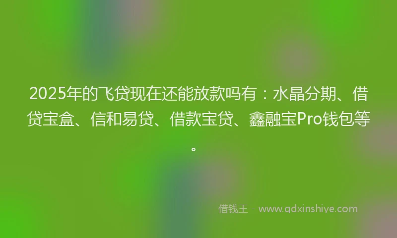 2025年的飞贷现在还能放款吗有：水晶分期、借贷宝盒、信和易贷、借款宝贷、鑫融宝Pro钱包等。