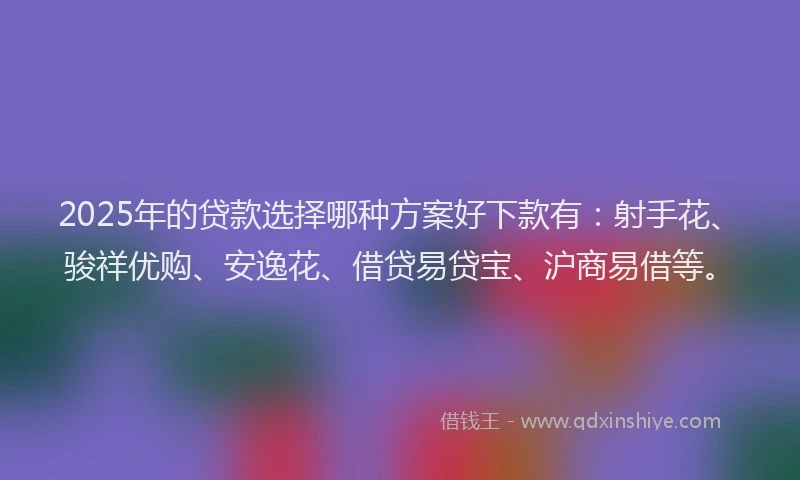 2025年的贷款选择哪种方案好下款有：射手花、骏祥优购、安逸花、借贷易贷宝、沪商易借等。