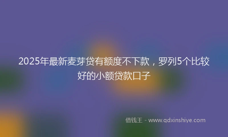 2025年最新麦芽贷有额度不下款，罗列5个比较好的小额贷款口子