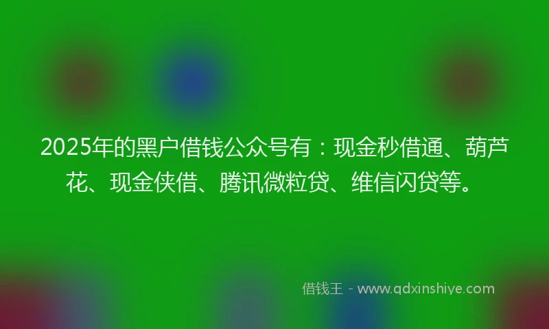 2025年的黑户借钱公众号有：现金秒借通、葫芦花、现金侠借、腾讯微粒贷、维信闪贷等。