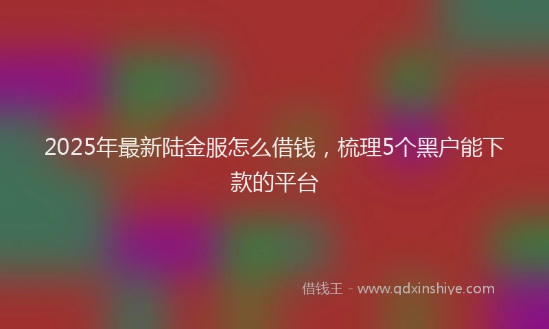 2025年最新陆金服怎么借钱，梳理5个黑户能下款的平台