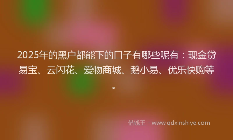 2025年的黑户都能下的口子有哪些呢有：现金贷易宝、云闪花、爱物商城、鹅小易、优乐快购等。