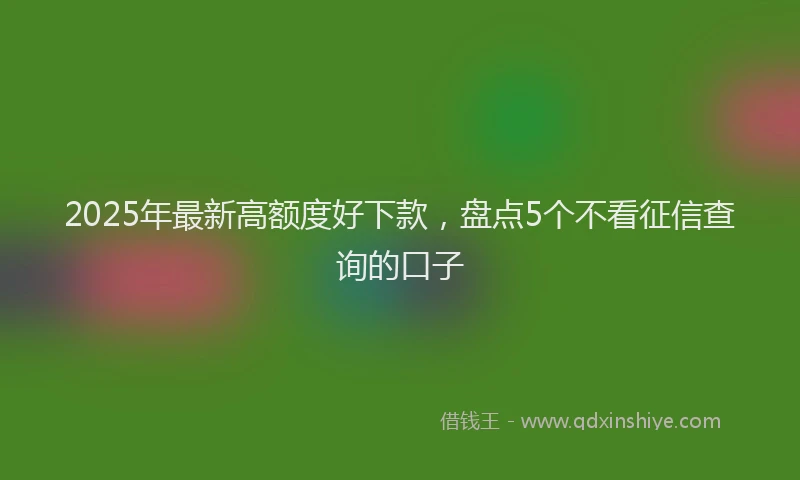 2025年最新高额度好下款，盘点5个不看征信查询的口子