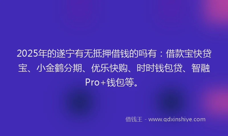 2025年的遂宁有无抵押借钱的吗有：借款宝快贷宝、小金鹤分期、优乐快购、时时钱包贷、智融Pro+钱包等。