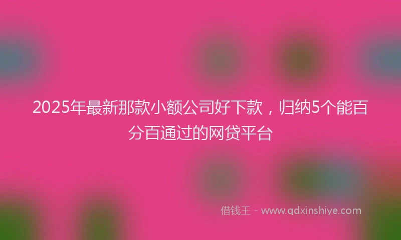 2025年最新那款小额公司好下款，归纳5个能百分百通过的网贷平台