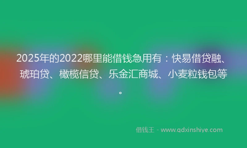 2025年的2022哪里能借钱急用有：快易借贷融、琥珀贷、橄榄信贷、乐金汇商城、小麦粒钱包等。