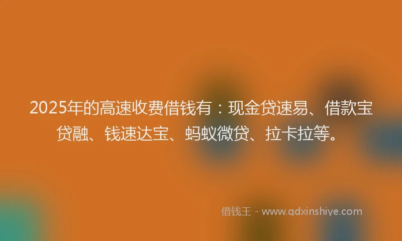 2025年的高速收费借钱有：现金贷速易、借款宝贷融、钱速达宝、蚂蚁微贷、拉卡拉等。