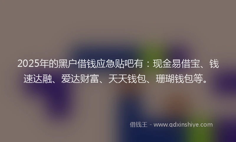 2025年的黑户借钱应急贴吧有：现金易借宝、钱速达融、爱达财富、天天钱包、珊瑚钱包等。